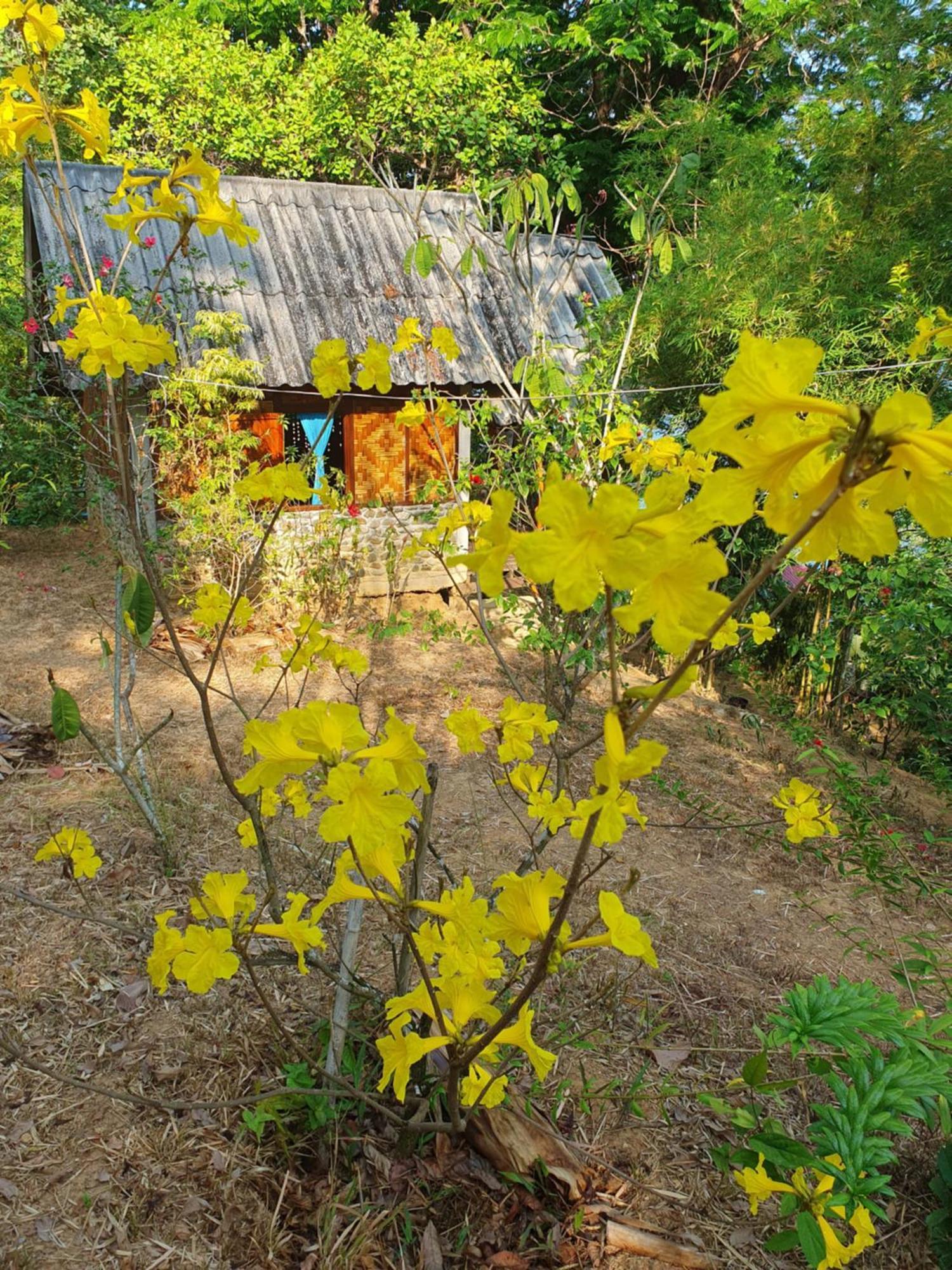 Littleduck Ferienhaus